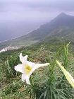 2006-04-13-0024-PV.jpg
