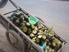 P1140637-PV.jpg