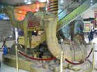 2007-05-25-0209.JPG