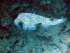 2005-10-20-0007.jpg